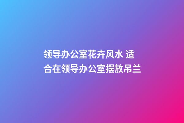 领导办公室花卉风水 适合在领导办公室摆放吊兰